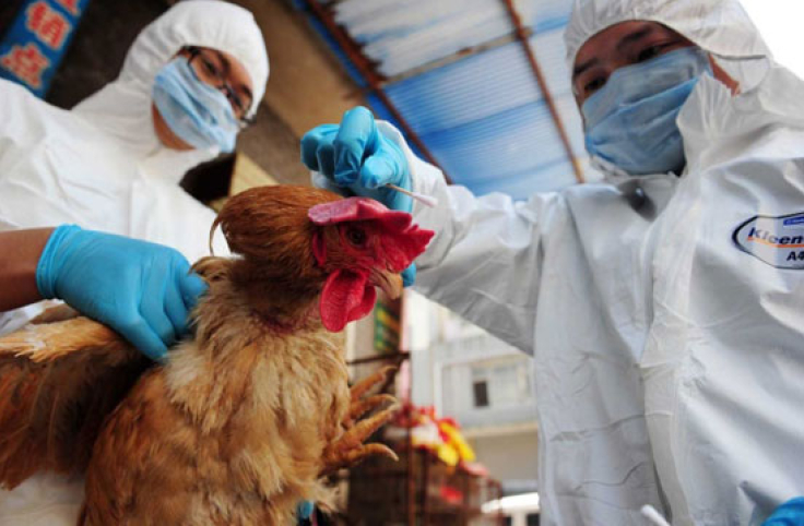 H7N9.